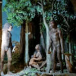Beberapa Jenis-Jenis Manusia Purba Di Indonesia