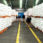 Pupuk Subsidi Sebanyak 955 Juta Ton Disalurkan Mulai Januari 2025